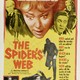 photo du film The Spider's Web