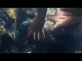 Extrait vidéo du film  Le dragon des mers - La dernière légende