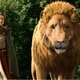 photo du film Le Monde De Narnia, Chapitre 2 : Le Prince Caspian