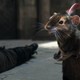 photo du film Le Monde De Narnia, Chapitre 2 : Le Prince Caspian
