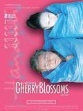 Cherry Blossoms, un rêve japonais