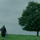 photo du film Séraphine