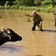 photo du film Tonnerre sous les tropiques