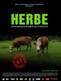 Herbe, Le Film
