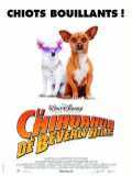 voir la fiche complète du film : Le Chihuahua de Beverly Hills