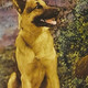 photo de Rin Tin Tin Jr.