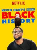 voir la fiche complète du film : Kevin hart s guide to black history