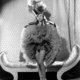 photo de Jane Hale