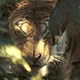 photo du film Mowgli : la légende de la jungle