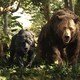 photo du film Mowgli : la légende de la jungle