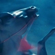 photo du film Nope