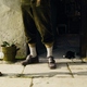 photo du film Pinocchio (Disney)