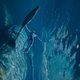 photo du film Avatar : La voie de l'eau