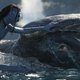 photo du film Avatar : La voie de l'eau