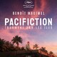 photo du film Pacifiction