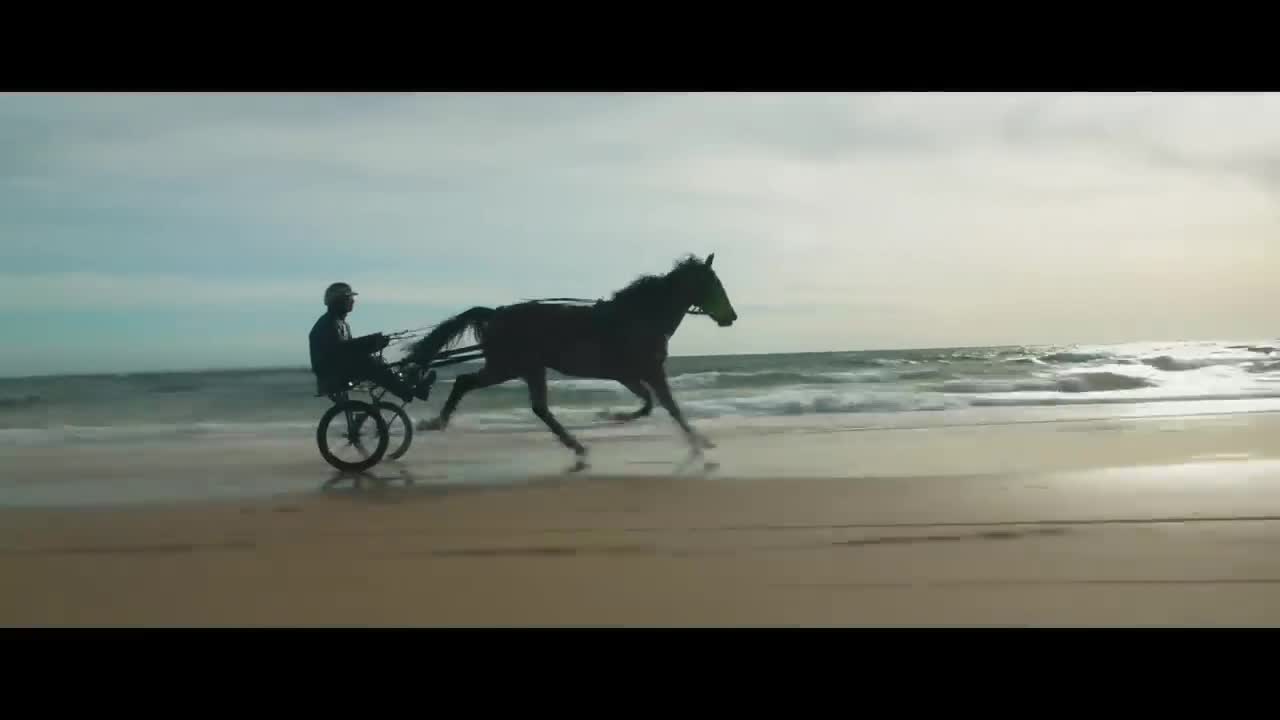 Extrait vidéo du film  Tempête