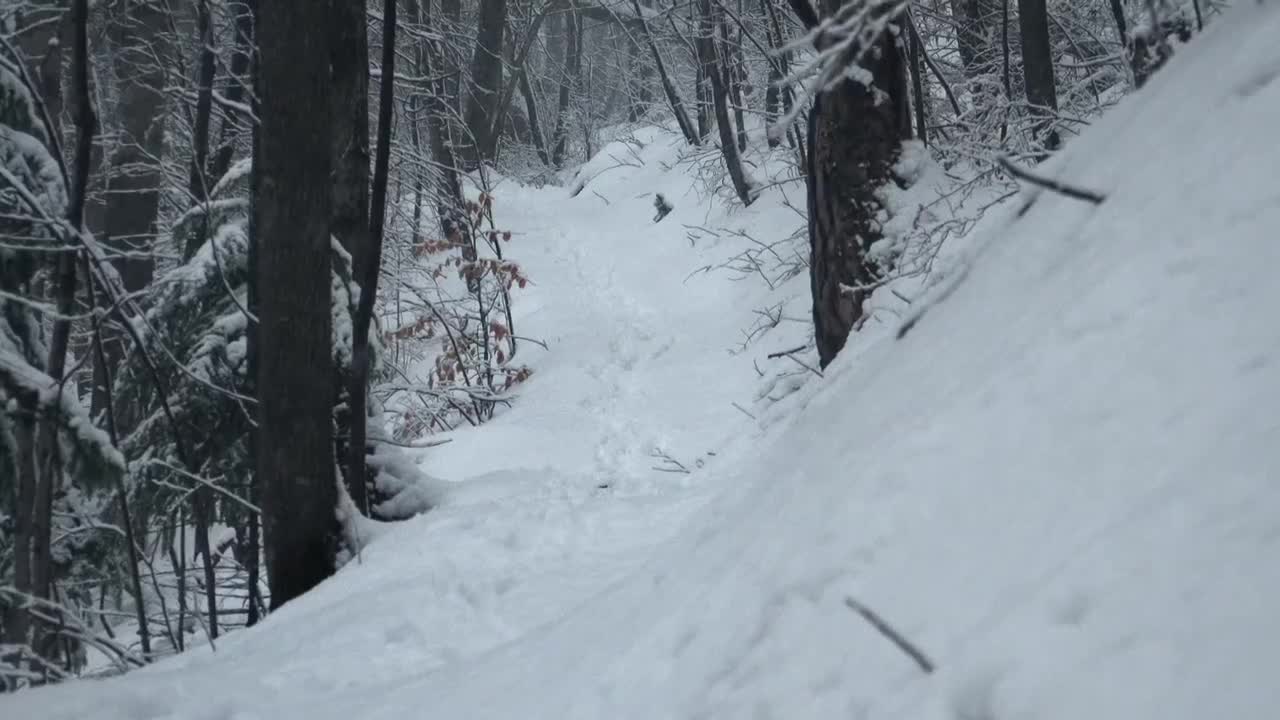 Extrait vidéo du film  Ceux de la nuit