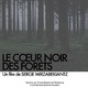 photo du film Le Coeur noir des forêts
