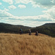 photo du film Lucie perd son cheval
