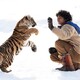 photo du film Le Nid du Tigre