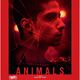 photo du film Animals