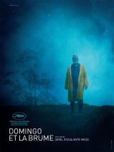 voir la fiche complète du film : Domingo et la brume
