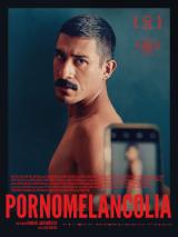 voir la fiche complète du film : Pornomelancolia