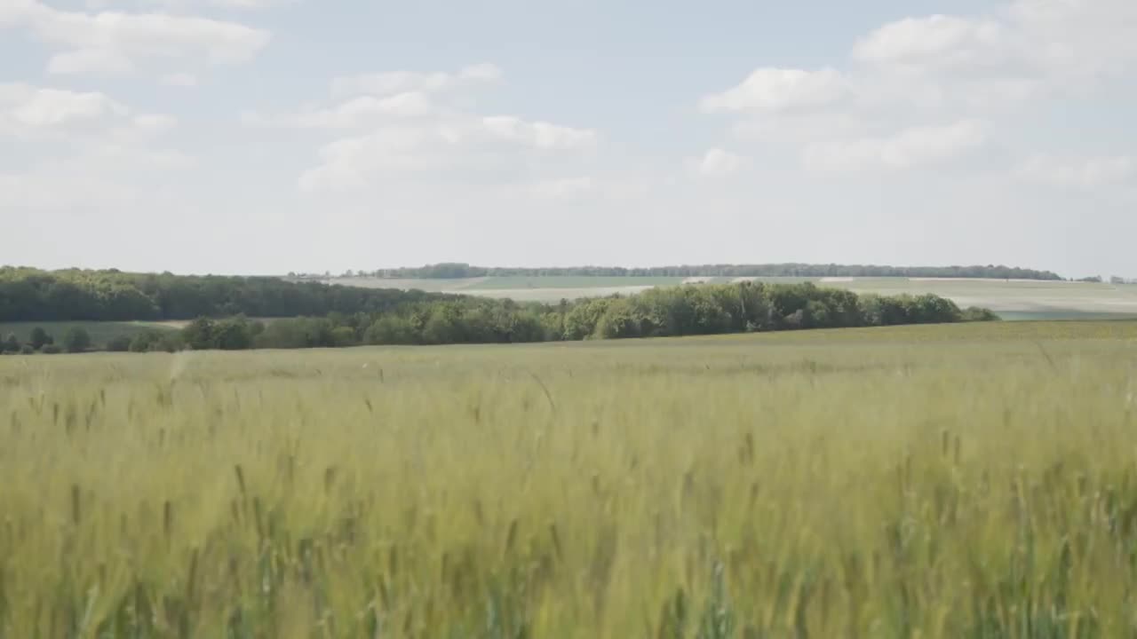 Extrait vidéo du film  Édouard Louis, ou la transformation