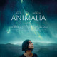 photo du film Animalia