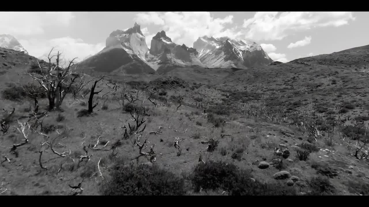 Extrait vidéo du film  Voyage au pôle sud