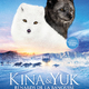 photo du film Kina & Yuk : Renards de la banquise