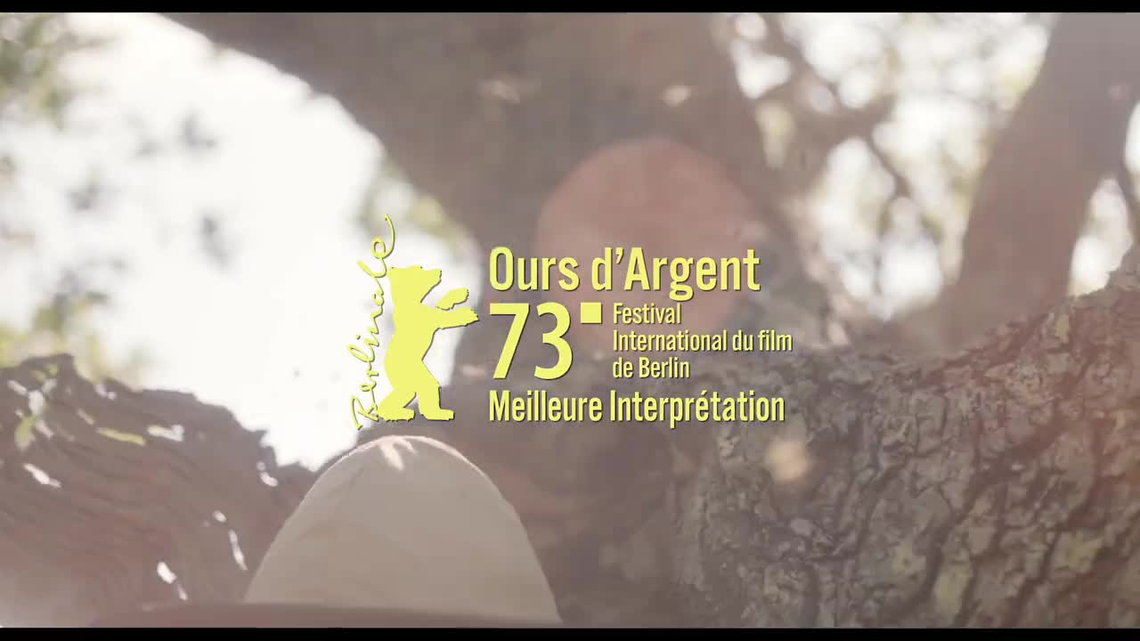 Extrait vidéo du film  20 000 espèces d abeilles