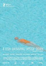 voir la fiche complète du film : A Fish Swimming Upside Down