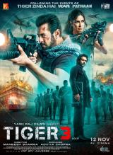 voir la fiche complète du film : Tiger 3
