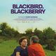 photo du film Blackbird, Blackberry