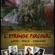photo du film L'Etrange parcours
