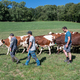 photo du film La Ferme des Bertrand