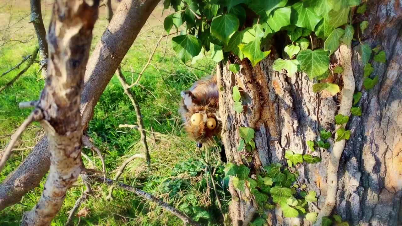 Extrait vidéo du film  Roquette et les Mal-Aimés