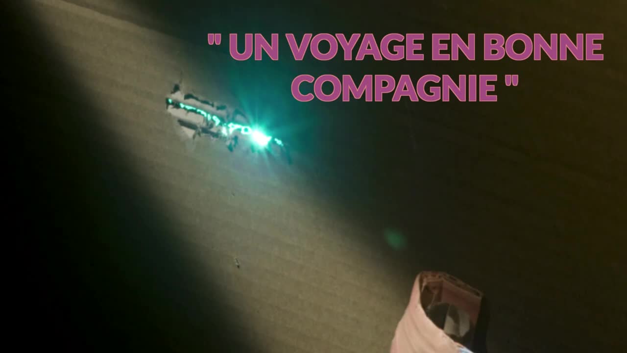 Extrait vidéo du film  Un voyage en bonne compagnie