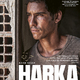 photo du film Harka