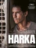 voir la fiche complète du film : Harka