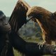 photo du film La Planète des Singes - Le Nouveau Royaume