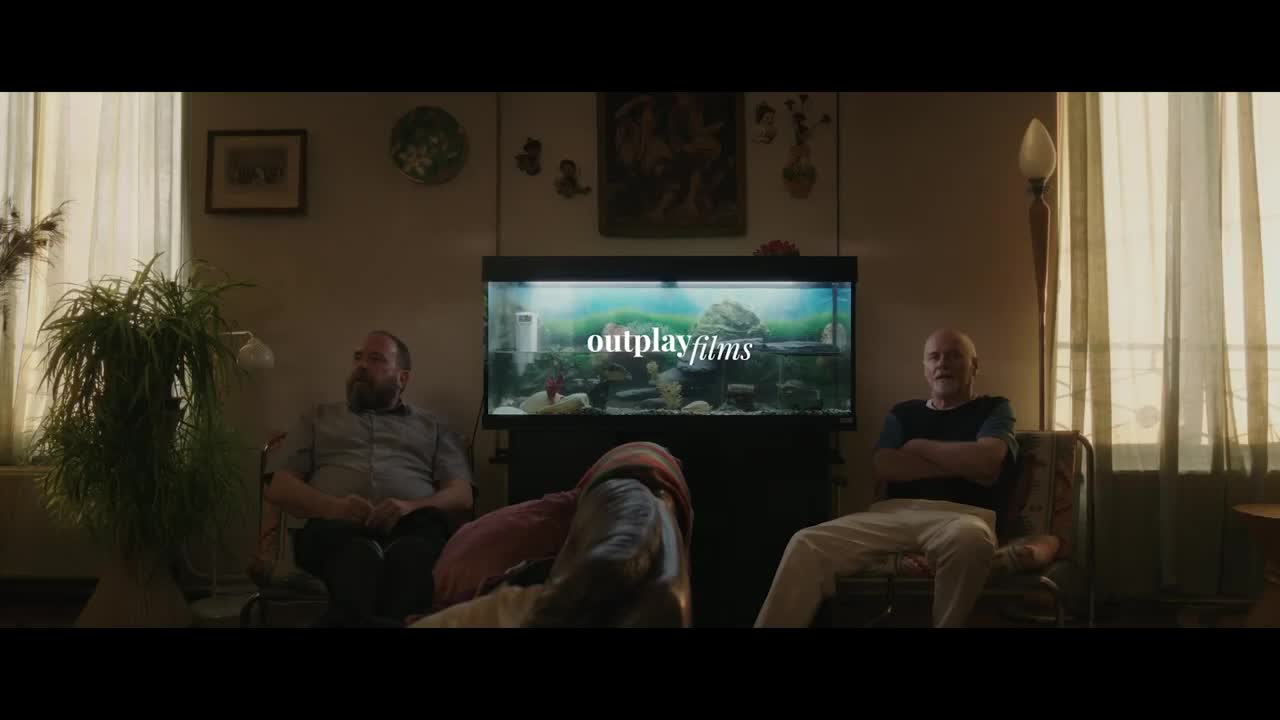 Extrait vidéo du film  Les Tortues