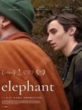 voir la fiche complète du film : Elephant