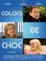 voir la fiche complète du film : Colocs de choc