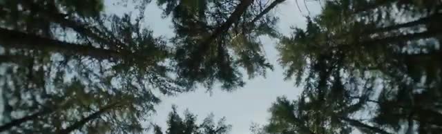 Extrait vidéo du film  Natura