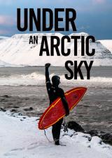 Under an arctic sky