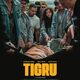 photo du film Tigresse