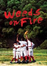 Weeds on fire