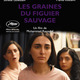 photo du film Les Graines du figuier sauvage